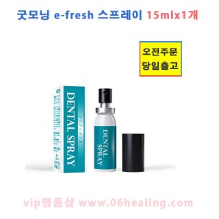 16.(품절)굿모닝이후 레쉬 덴탈 구강 케어 스프레이액 15ml