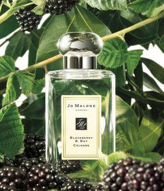 288.애자일 퍼품 명품 향수 no.2 (50ml) 조말론 블랙베리