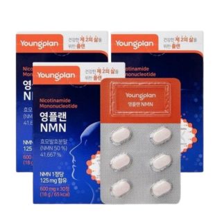 484.영진약품 영플랜 NMN 600mgx30정